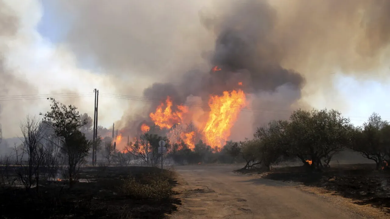 Atenționare pentru românii care călătoresc în Franța: risc crescut de incendii de vegetație