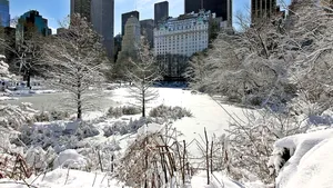 Iarnă grea. Cel puțin nouă persoane au murit în SUA