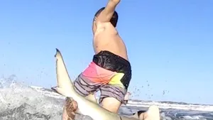 VIDEO. Clipe de groază pentru un copil de 7 ani: A fost dărâmat de pe placa de surf chiar de un rechin. Cum a reacţionat 