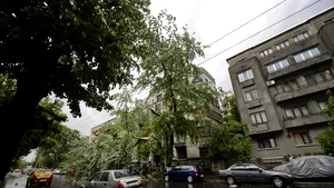 COD GALBEN de ploi şi vijelii, prelungit pentru anumite judeţe şi vineri. Care sunt zonele afectate | HARTA