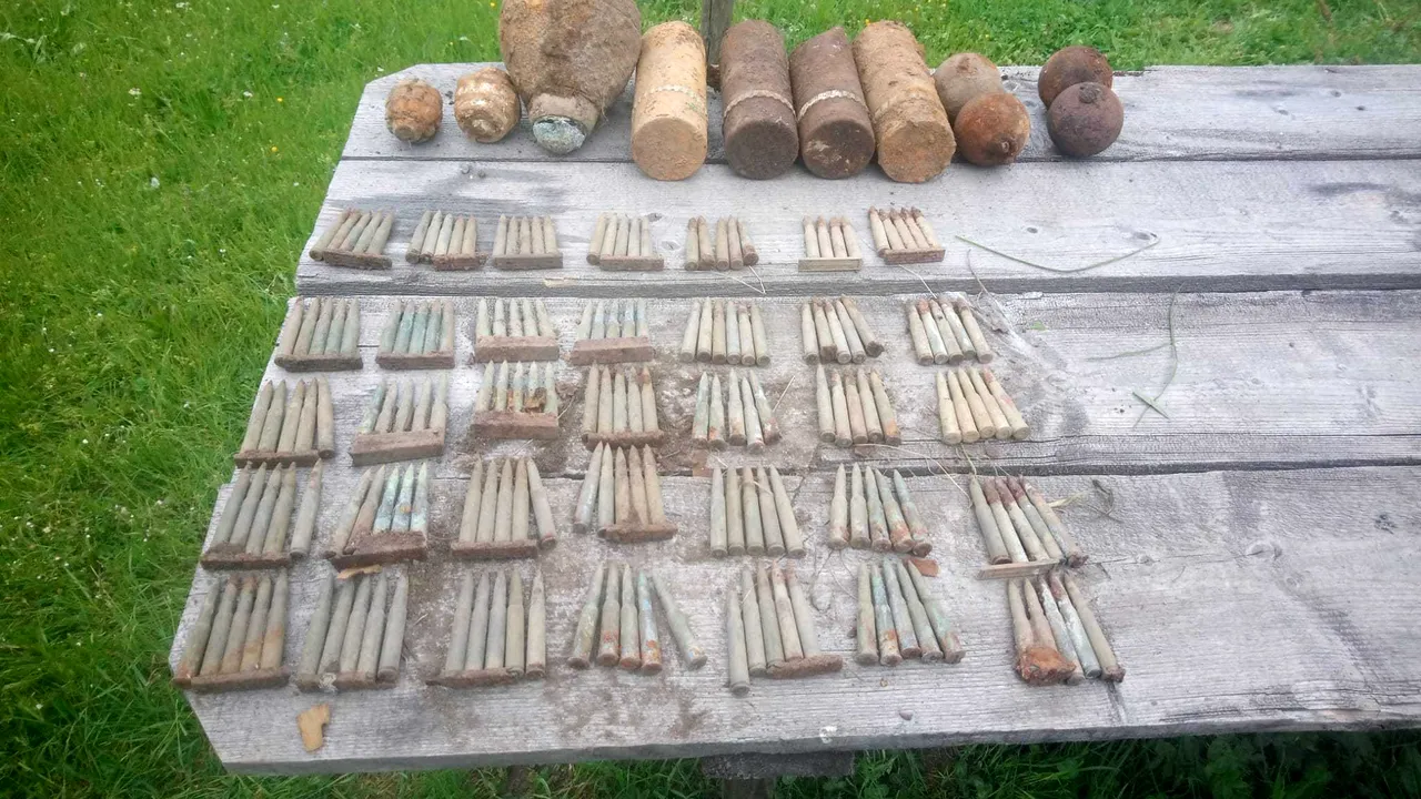 Grenade şi proiectile din Primul Război Mondial, găsite într-o comună din Neamţ