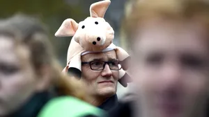 Ministrul Muncii, Violeta Alexandru: De anul viitor, abatoarele din Germania nu vor mai angaja români prin subcontractori