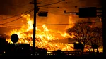 Cel mai mare incendiu din istoria Coreei de Sud, provocat de un bărbat care îngrijea morminte