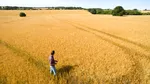 Noul raport Corteva evidențiază modul în care inovația accelerează o agricultură mai sustenabilă