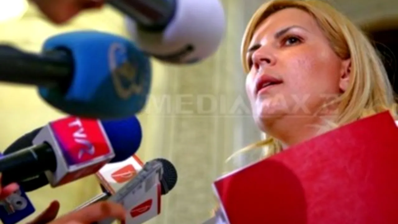 Udrea: Afacerile familiei merg prost; dacă nu achit creditul, există varianta executării bunurilor