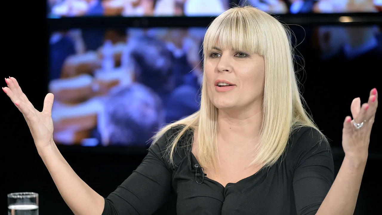 COMENTARIU Sorin Avram: Ruşine, Elena Udrea! 
