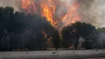 Spania declară stare de urgență, după ce incendiile de pădure au dus la evacuarea a 10.000 de persoane