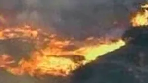 Peste 600 de locuinţe arse în incendiile din California