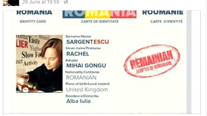 Remainians Respond to Romanians: „Inima mea este cu voi. Te iubesc, România!