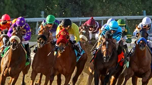 Hipodromul din Ploieşti va fi modernizat cu fonduri europene. Investiţia - 15 milioane de euro 