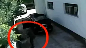 Preşedintele PC Neamţ, acuzat că şi-a bătut soţia - VIDEO