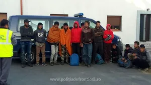 Timiş: 14 migranţi au fost prinşi în culturile agricole de la frontiera de sud-vest