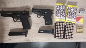 Pistoale şi peste 100 de cartuşe, descoperite de poliţiştii de frontieră