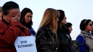Miting împotriva eutanasierii câinilor: Protestul iubitorilor de animale s-a încheiat după depunerea unui memoriu la sediul PDL