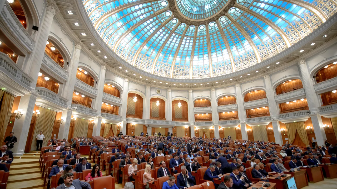 Proiectul de Lege privind CSM. Rodeanu: 60 de minute pentru a finaliza opera lui Liviu Dragnea