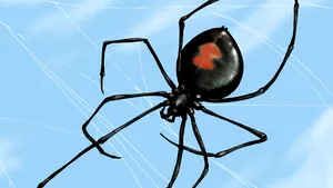 Trei fraţi bolivieni s-au lăsat muşcaţi de Văduva Neagră în speranţa că se vor transforma în Spider-Man