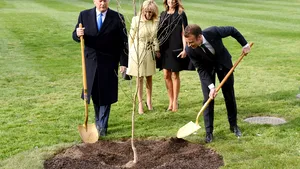 Gestul surprinzător făcut de Macron după ce s-a uscat stejarul plantat alături de Trump pe peluza Casei Albe