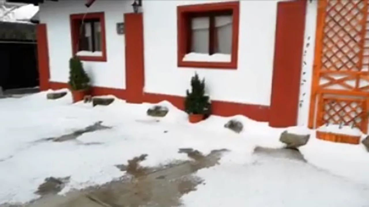 GRINDINA şi ploile au făcut ravagii în Prahova: Curţi inundate şi arbori căzuţi | VIDEO 
