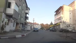 FOTO | Protest inedit: Un localnic a plantat un copac într-o groapă. Replica surprinzătoare a primarului