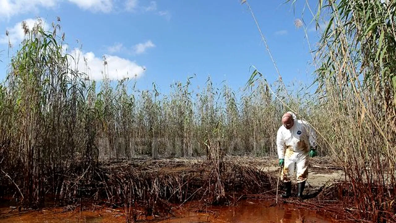 Peste 55 de kilometri din coastele statului Louisiana, atinşi de pata de petrol - VIDEO