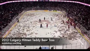 Hochei: 25.921 de ursuleţi de pluş aruncaţi pe gheaţă în Calgary la un meci de juniori - VIDEO