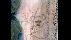 VIDEO: O operă de artă uriaşă pe plaja din Australia în memoria dezastrului climatic 