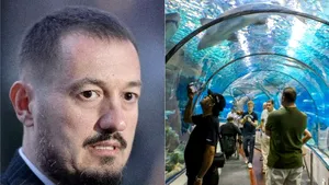 Procurorul Bogdan Pîrlog cere invalidarea rezultatelor pentru şefia Secţiei de anchetă: 