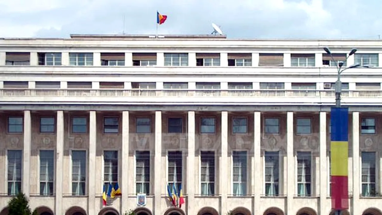Guvernul vrea să organizeze 