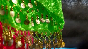 Cei 40 de romi din România, care au speriat California cu apucăturile lor. 