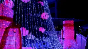 Bradul de Crăciun din Canberra a intrat în Cartea Recordurilor Guinness - FOTO, VIDEO 