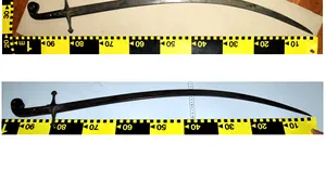 O sabie de patrimoniu folosită la o crimă, predată Muzeului Naţional de Istorie