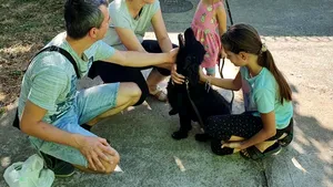FOTO Poliţia Animalelor Arad a readus bucuria într-o familie. Un câine dispărut în urmă cu un an a fost găsit
