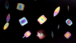 Imagini uimitoare: Cum se văd în 3D alimentele şi băuturile pe care le consumăm zilnic - FOTO