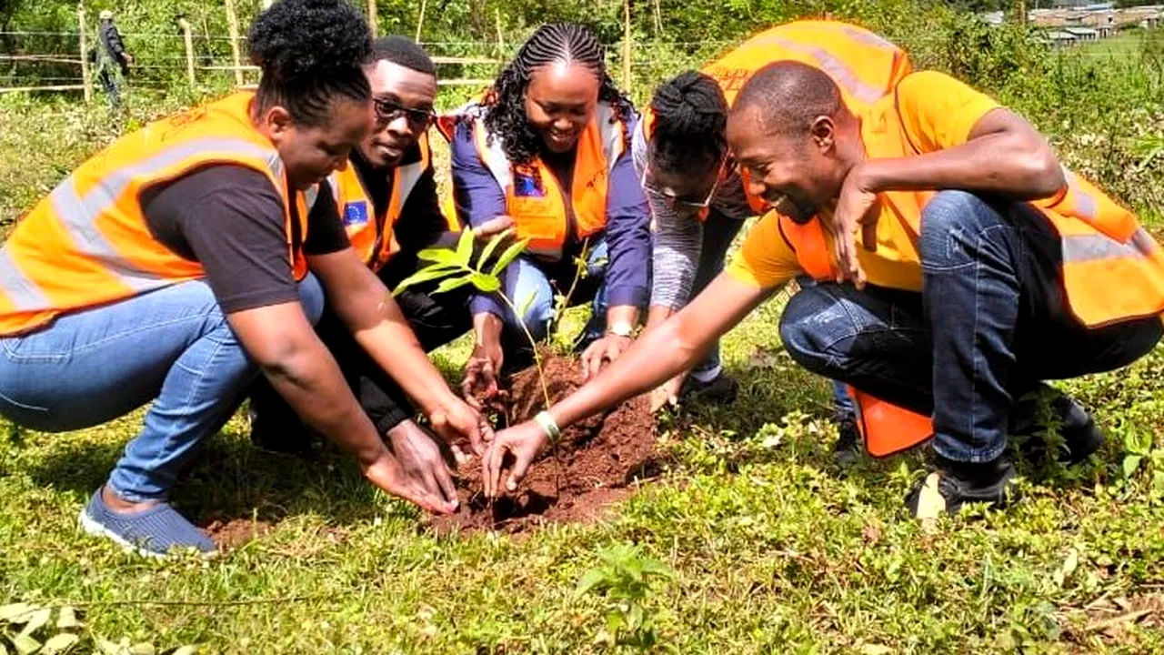 Guvernul din Kenya acordă o zi liberă pentru ca toţi cetăţeni să planteze 100 de milioane de copaci
