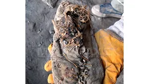 Cel mai vechi pantof din lume, realizat în urmă cu peste 5.500 de ani, descoperit în Armenia