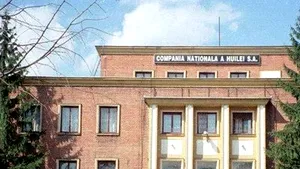 Romanian PM Assures Laid Off Miners They Will Receive Severance Pay