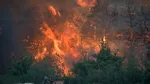 Turcia arde la malul Mediteranei: Două provincii au fost declarate zone de dezastru