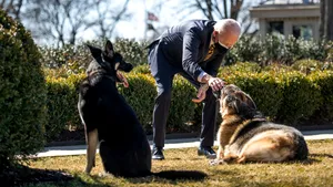 Tristeţe la Casa Albă. Unul din câinii lui Joe Biden, Champ, a murit