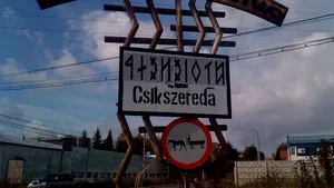 Olguţa Vasilescu cere îndepărtarea unui indicator 