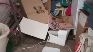 Insecte vii, mobilier deteriorat și grupuri sanitare insalubre, la o școală din Constanța