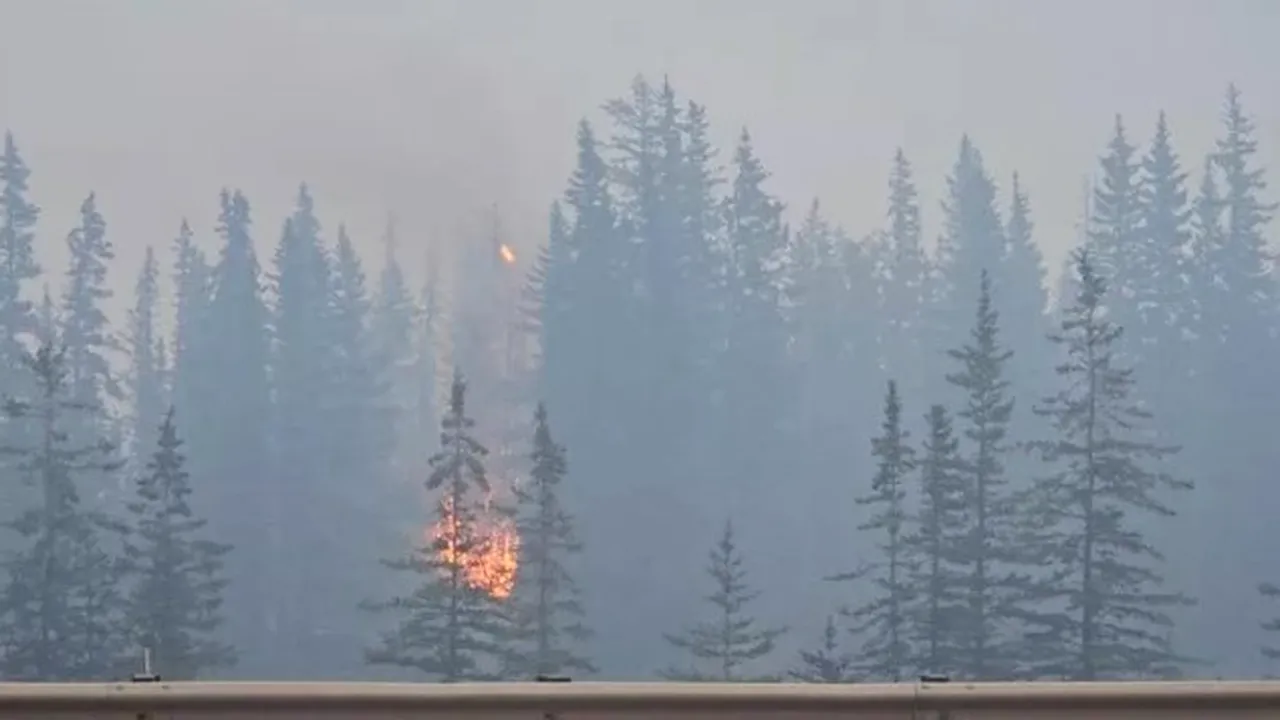 Flăcări scăpate de sub control în celebrul Parc Naţional Jasper: 25.000 de oameni evacuaţi