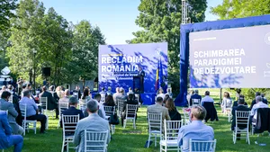 COMENTARIU Lelia Munteanu: PNL - un garden party