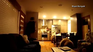 Musafiri nepoftiţi: Doi urşi au intrat într-o locuinţă şi s-au servit singuri din frigider | VIDEO