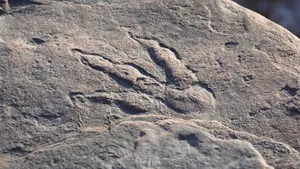 Urmă de dinozaur, descoperită de o fată de 4 ani în Ţara Galilor. Paleontologii sunt încântaţi: „Este genial”