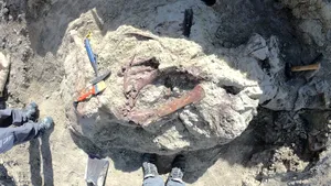 Oamenii de știință au descoperit un dinozaur din Argentina cu un os de crocodil în gură