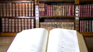 Greşelile de folosire a limbii române abundă la OTV, însă sunt în scădere la celelalte televiziuni