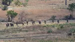 Armata indoneziană anunță eliminarea a 18 separatiști într-o operațiune în Papua