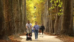 Studiu: Mai puţin de 5.000 de paşi pe zi ar putea fi suficienţi pentru un stil de viaţă sănătos