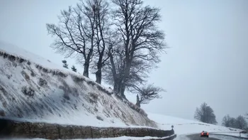 METEO ANM: Cod galben de ploi și ninsori în 5 județe. Harta județelor vizate