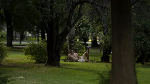 Prognoza pentru următoarele patru săptămâni: Temperaturi mai mari decât cele obişnuite în septembrie